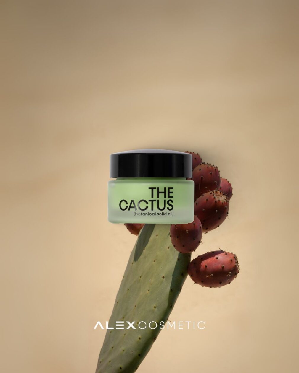 THE CACTUS [BOTANICAL SOLID OIL] 50ml - Image 3